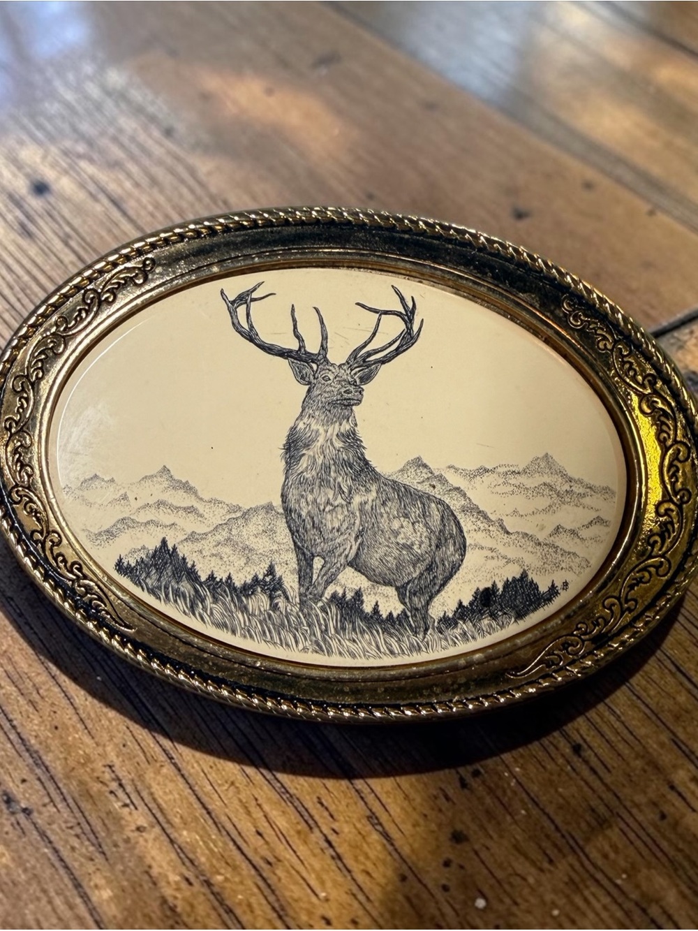 Vintage Brown and Gold Oval Buckle Belt